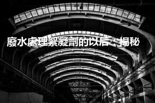 廢水處理絮凝劑的以后：揭秘高效凈化的秘密？